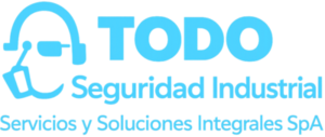todoseguridadindustrial.cl